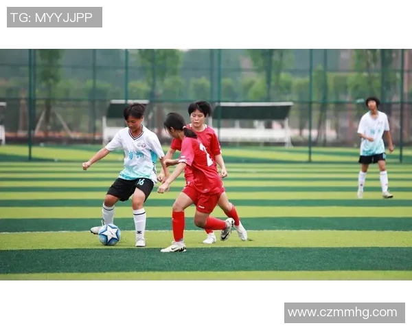 足球明星球技的象征与传承探讨之旅