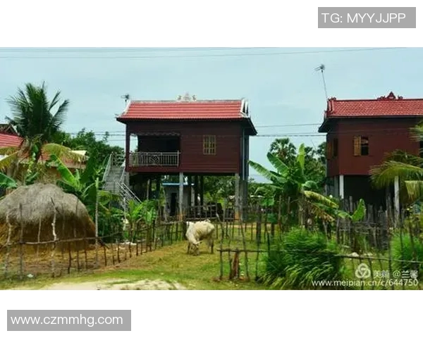 足球明星绯闻与动漫视频的奇妙交汇探秘之旅