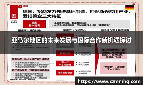 亚马尔地区的未来发展与国际合作新机遇探讨